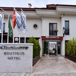 https://blueberry-boutique-hotel.turkeyfethiyehotels.com